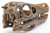 Carved Pietersite Dinosaur Skull - Very Chatoyant #199473-5